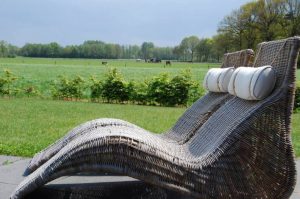 Dorpswoning-Het-Uitzicht-Villapparte-luxe-vakantiehuis-voor-14-personen-groepsaccommodatie-Noord-Brabant-tuin-met-ligstoelen