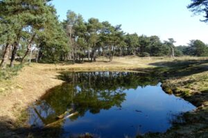 Villapparte-Natuurhuisje Wekerom-62125-luxe vakantiehuis voor 4 personen-Nationaal park de Hoge Veluwe-Gelderland-Wekerom-omgeving