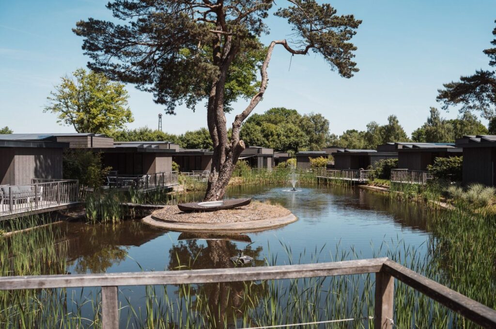 Villapparte-Soof Retreats-Soof Luxe Eco-Lodge Wellness-Luxe Eco lodge voor 2-6 personen-met hottub-Energielabel A+++-Utrechtse Heuvelrug-Utrecht-waterlodge