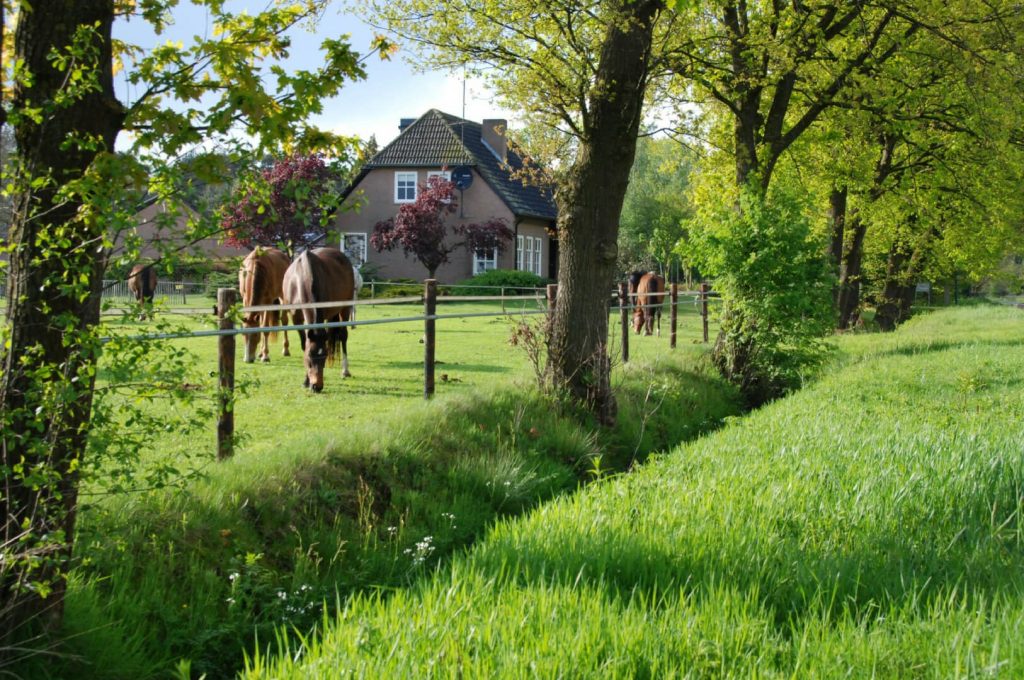 Luxe vakantiehuizen in Nederland