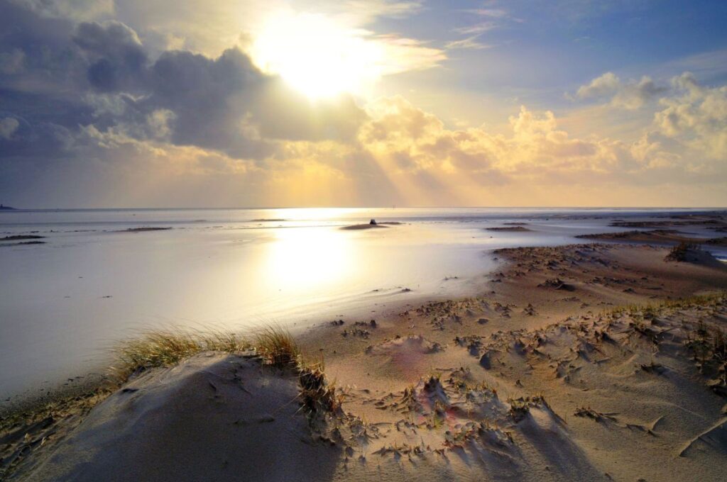 Villapparte-Special Villas-Vakantiehuis Texels Landleven-Luxe vakantiehuis voor 12 personen-groepsaccommodatie-rolstoeltoegankelijk-sauna-Wadden-Texel-Den Burg-Noord-Holland-Hollandse luchten