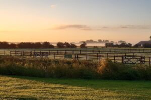 Villapparte-Natuurhuisje-Natuurhuisje Vrouwenpolder-54398-luxe vakantiehuis voor 4 personen-Zeeland-prachtige omgeving