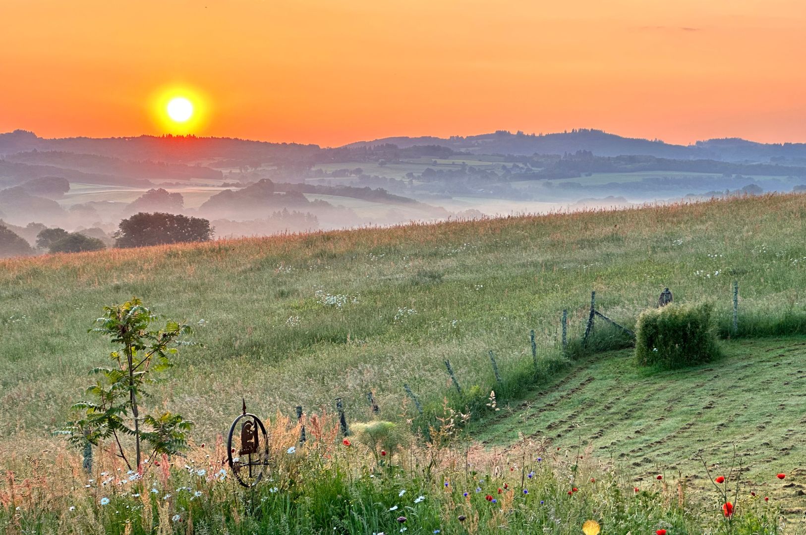 Villapparte-Le Veau Vert-Luxe Gites voor 2-6 personen-Haute-Vienne-Limosin-Frankrijk-indrukwekkende omgeving